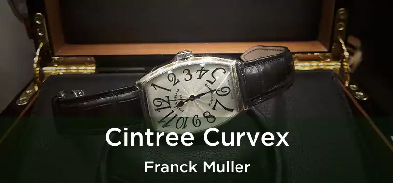  Cintree Curvex Franck Muller