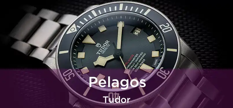  Pelagos Tudor