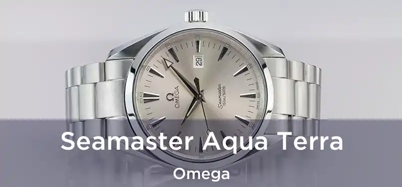  Seamaster Aqua Terra Omega