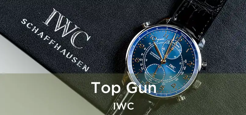  Top Gun IWC